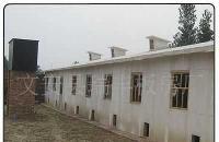 河北廊坊瑞豐保溫雞舍 防火保溫、耐酸堿，打造現代化養殖新標桿