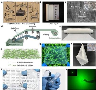 中國科學技術大學引領創新 新型柔性顯示膜材料問世，開啟顯示技術新篇章